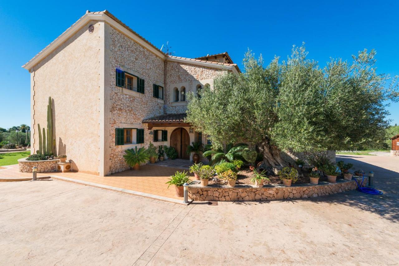 Vakantiehuis Valero By Mallorca Selection La Aranjasa